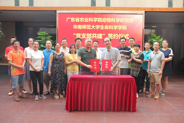 图片说明