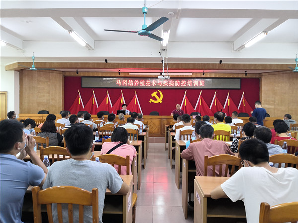图片说明