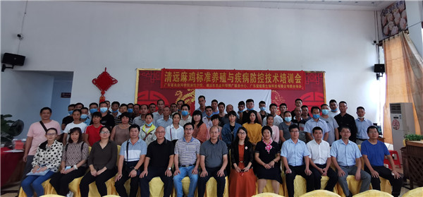 图片说明