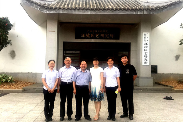 图片说明