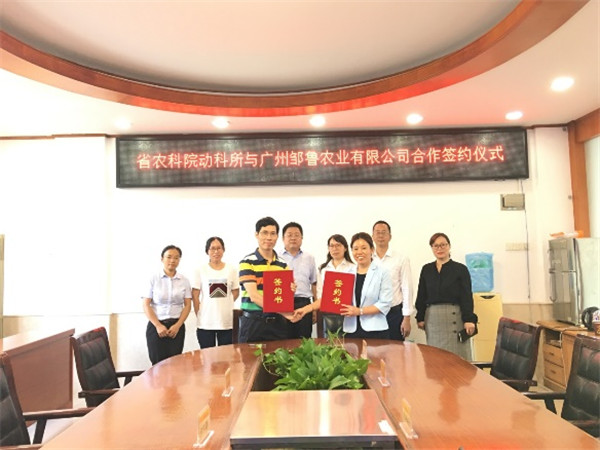 图片说明