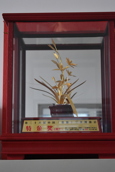 图片说明