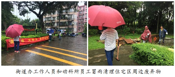 图片说明
