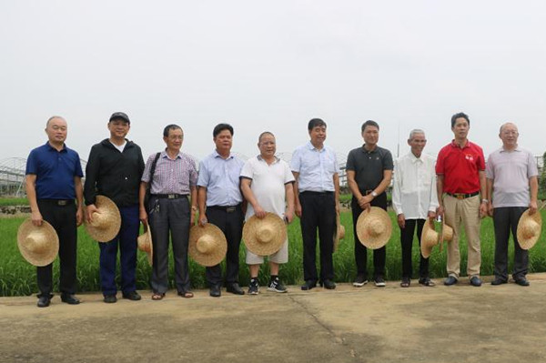 图片说明