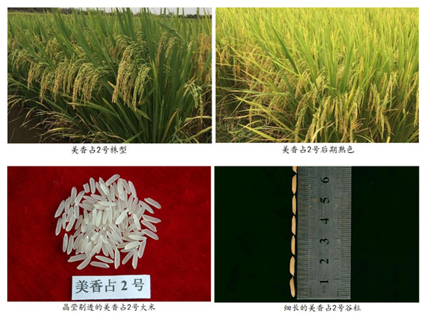 图片说明