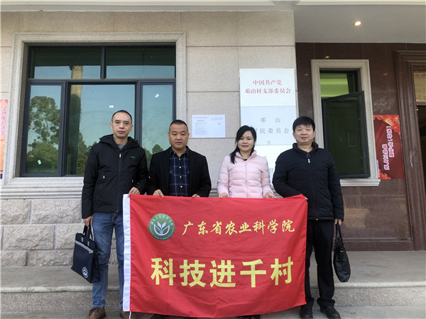 图片说明