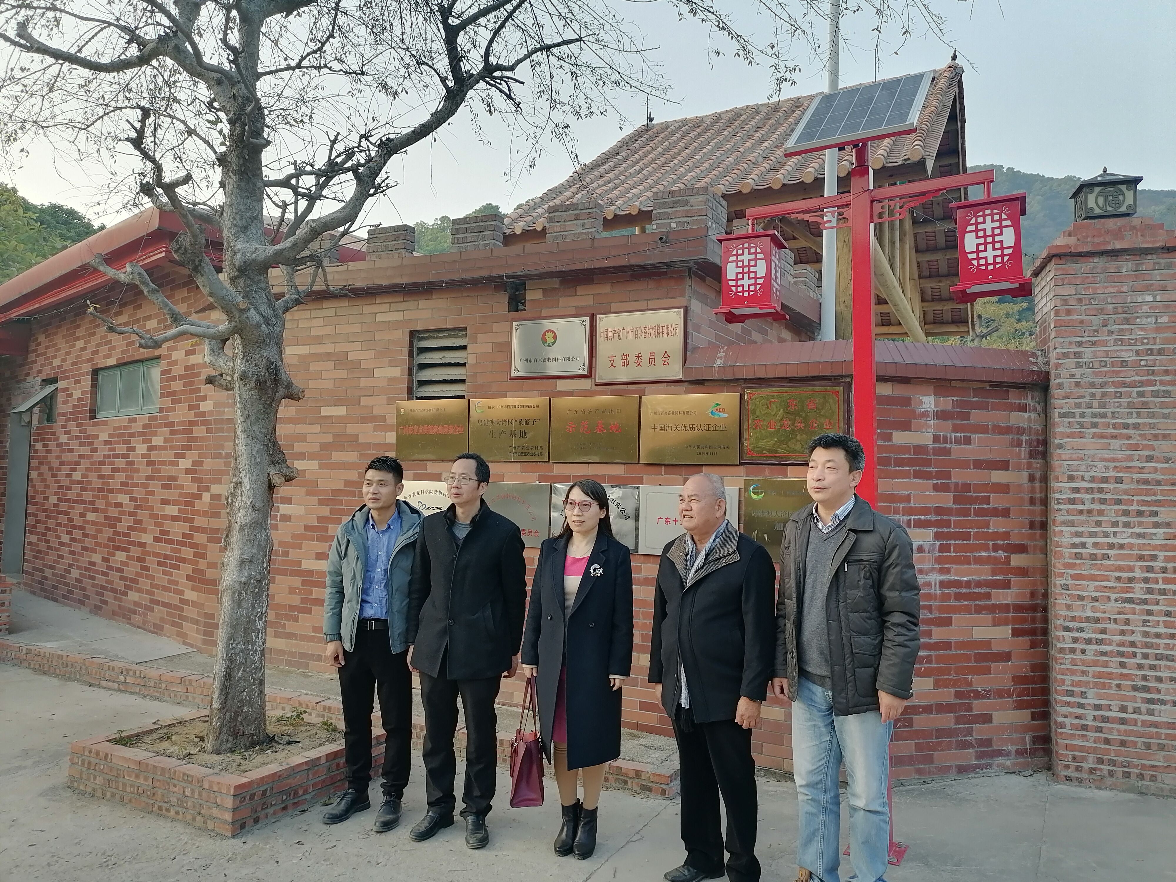 图片说明