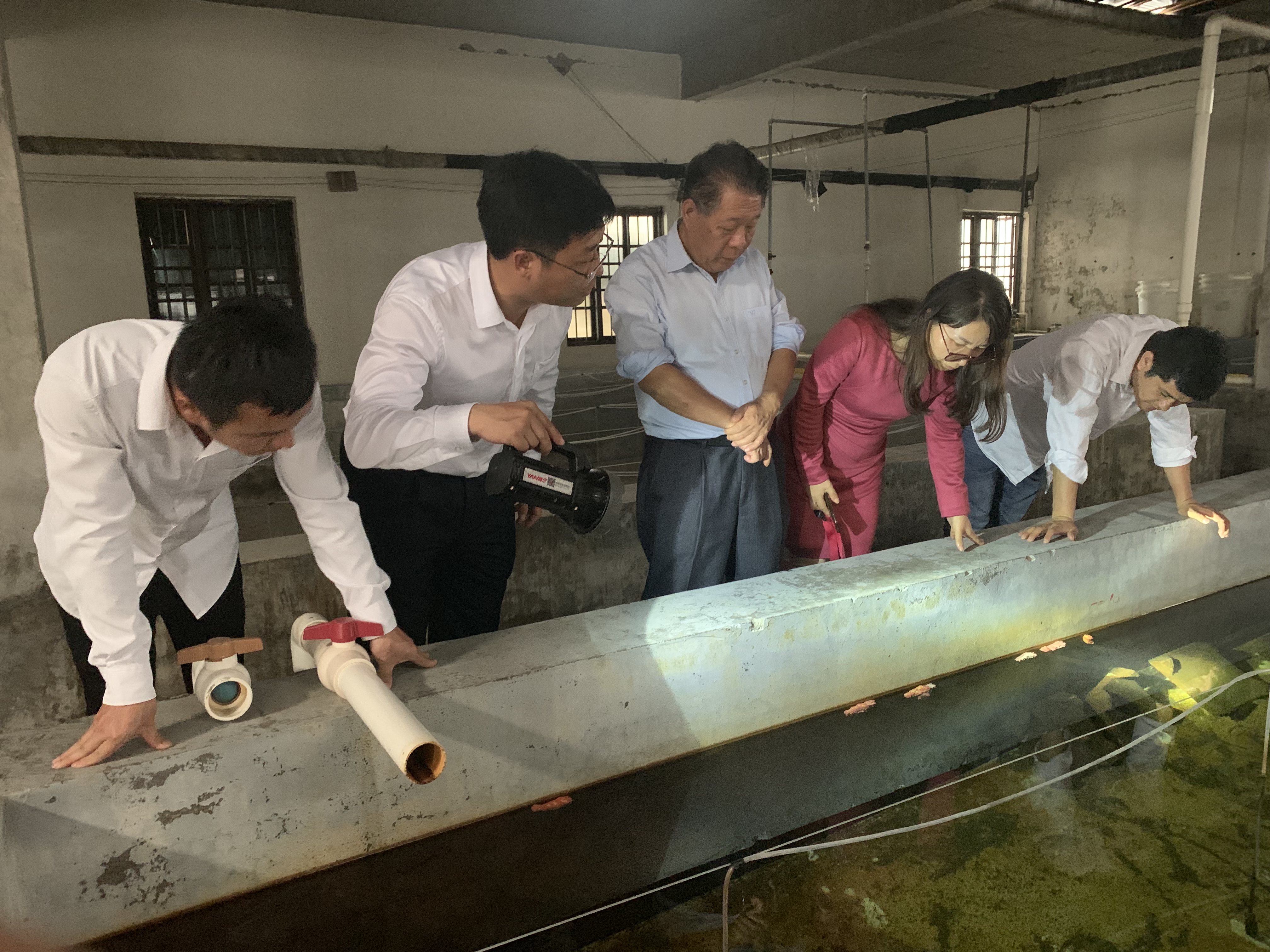 图片说明