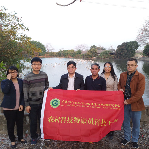 图片说明