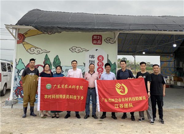 图片说明
