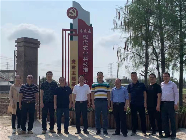 图片说明
