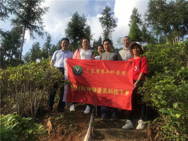 图片说明