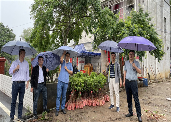 图片说明