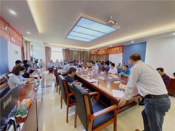 图片说明
