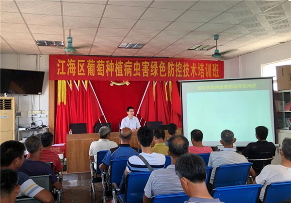 图片说明