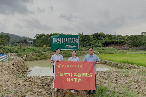 图片说明