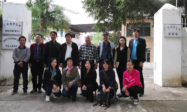 图片说明