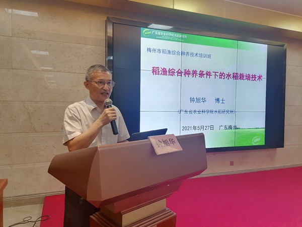 图片说明