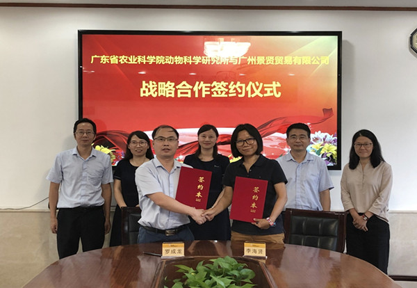 图片说明