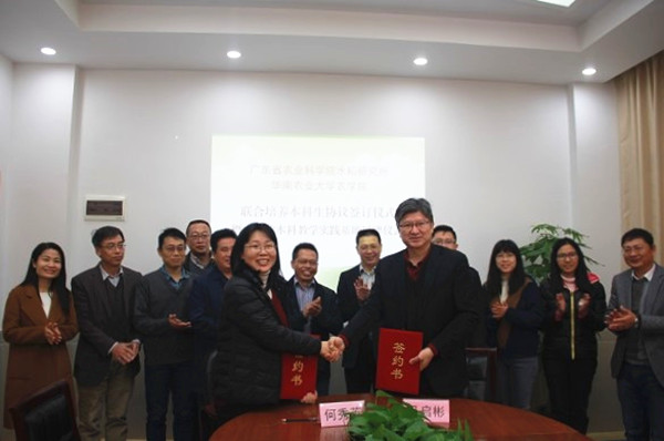 图片说明