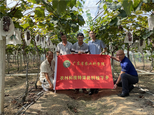 图片说明