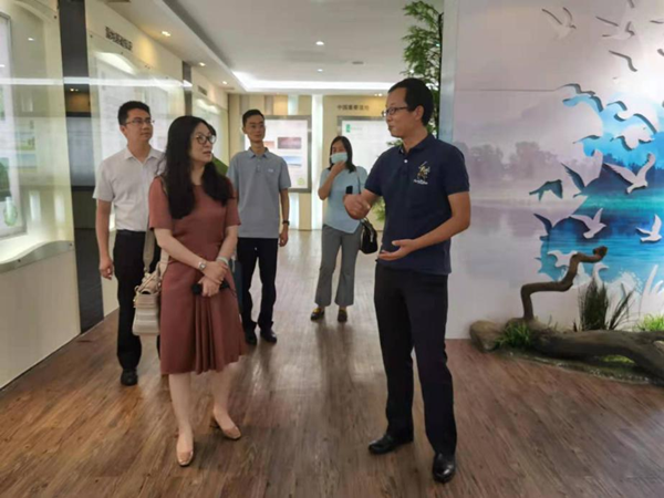 图片说明