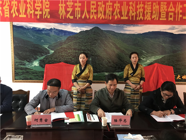 图片说明