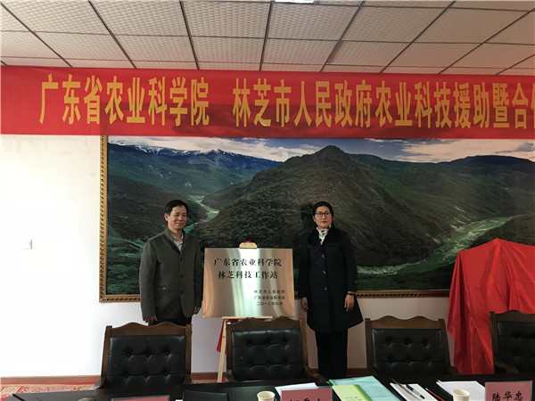 图片说明