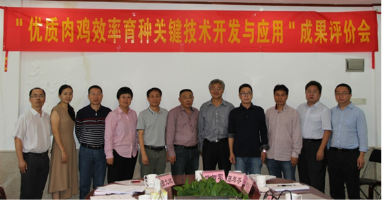 图片说明