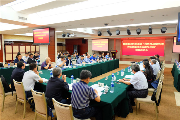 图片说明