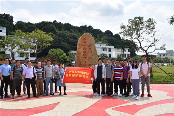 图片说明