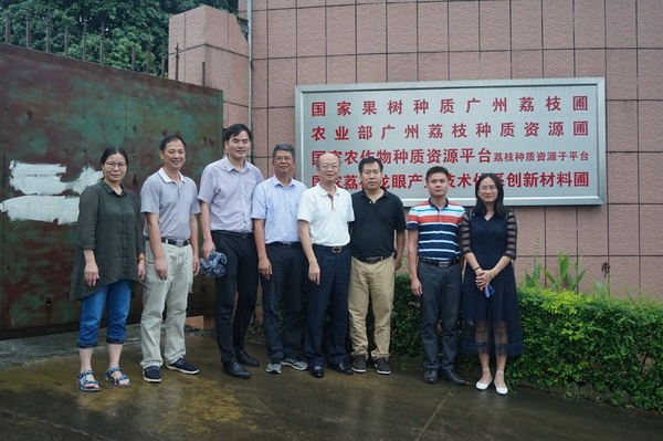 图片说明