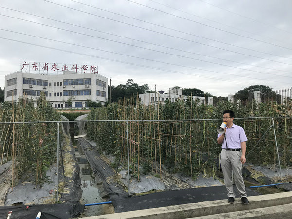 图片说明