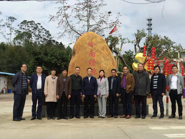 图片说明