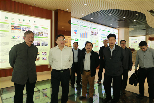 图片说明