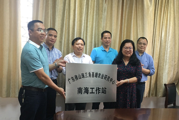 图片说明