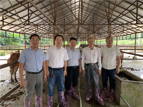 图片说明