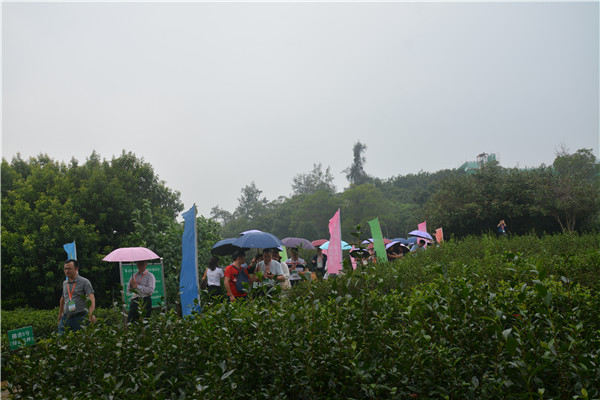 图片说明