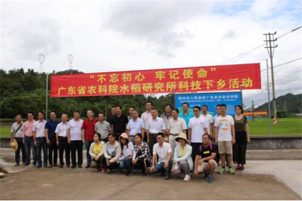 图片说明