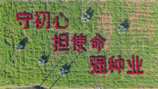 图片说明