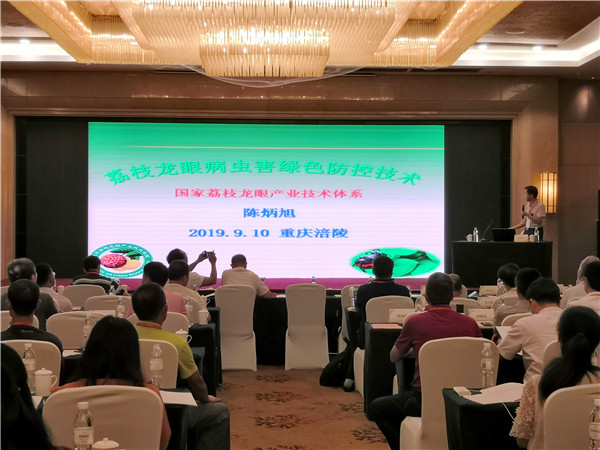 图片说明