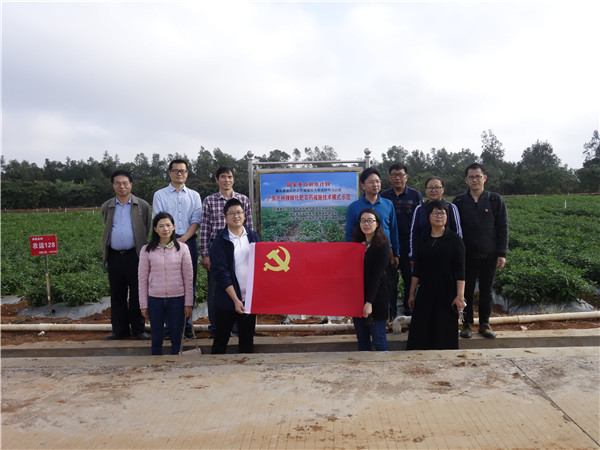 图片说明