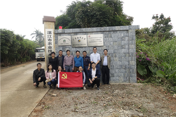 图片说明