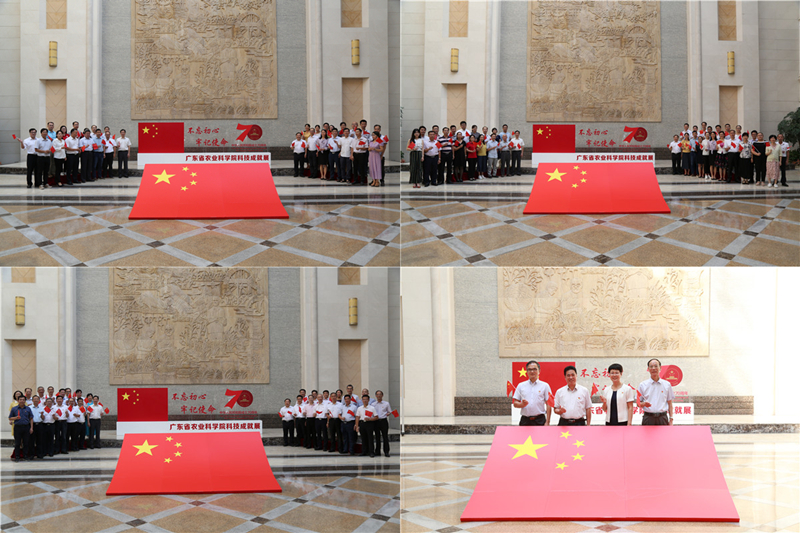 图片说明