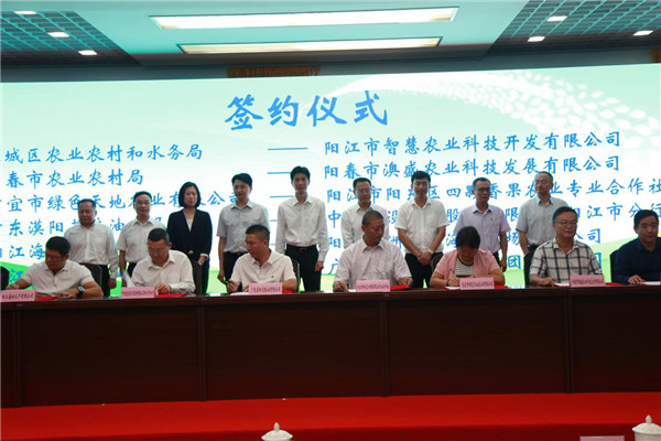 图片说明