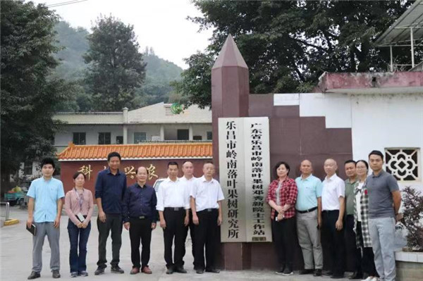 图片说明