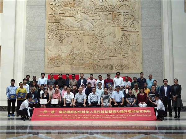 图片说明