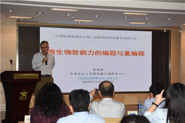 图片说明