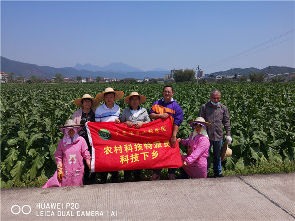 图片说明