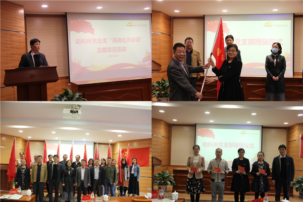 图片说明
